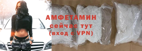 прущие крисы Бородино