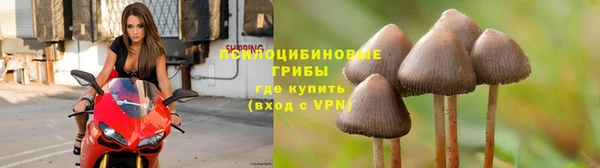 метадон Богданович