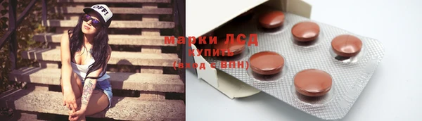 прущие крисы Бородино