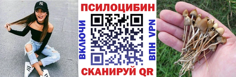 Купить Гдов Галлюциногенные грибы мицелий